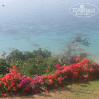 фото из отзыва ID 856175