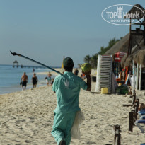 фото из отзыва ID 856280