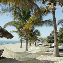 фото из отзыва ID 856280