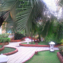 фото из отзыва ID 856552