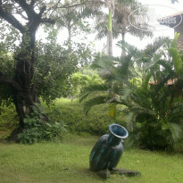 фото из отзыва ID 856620