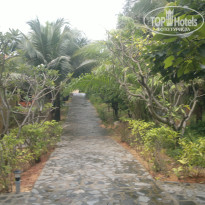 фото из отзыва ID 856620