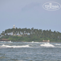 фото из отзыва ID 856627