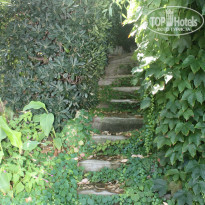 фото из отзыва ID 856637