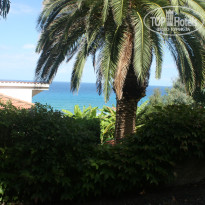 фото из отзыва ID 856637