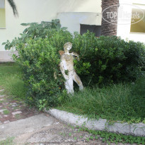 фото из отзыва ID 856637