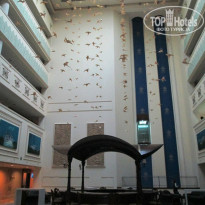 фото из отзыва ID 856674