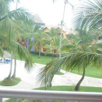 фото из отзыва ID 856694