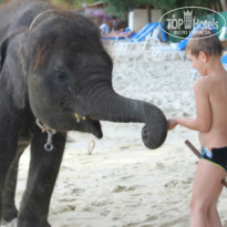 фото из отзыва ID 856808