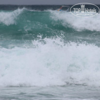 фото из отзыва ID 856808