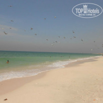 фото из отзыва ID 856947