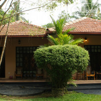 фото из отзыва ID 856965