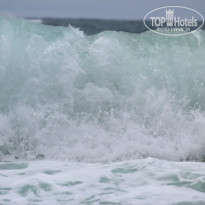 фото из отзыва ID 856808