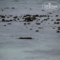 фото из отзыва ID 856808