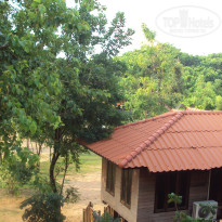 фото из отзыва ID 856652