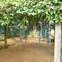 фото из отзыва ID 856666