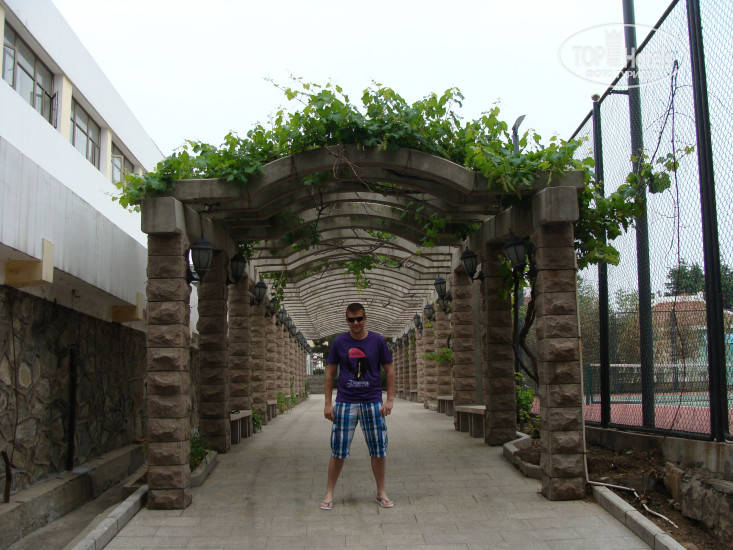 Дипломатия