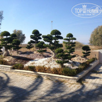 фото из отзыва ID 857323