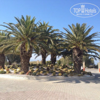 фото из отзыва ID 857323