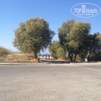 фото из отзыва ID 857323