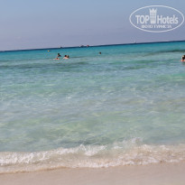 фото из отзыва ID 857380