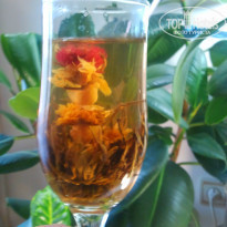 фото из отзыва ID 857489