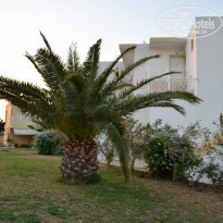 фото из отзыва ID 857543