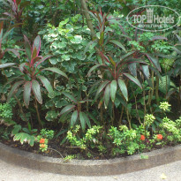 фото из отзыва ID 857545