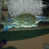 фото из отзыва ID 857545