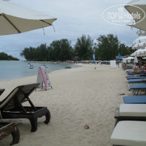 фото из отзыва ID 857545