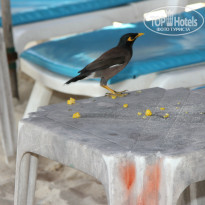 фото из отзыва ID 857564