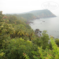 фото из отзыва ID 857607