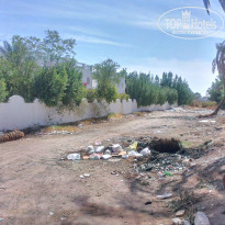 фото из отзыва ID 857627