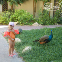 фото из отзыва ID 857918