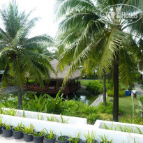 фото из отзыва ID 857941