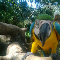 фото из отзыва ID 858147