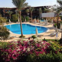 фото из отзыва ID 858209