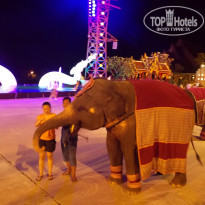 фото из отзыва ID 858233