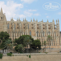 фото из отзыва ID 858308