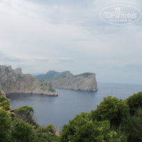 фото из отзыва ID 858308