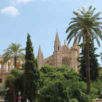 фото из отзыва ID 858308