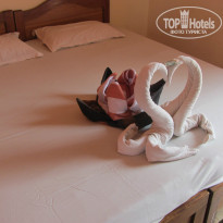 фото из отзыва ID 858443