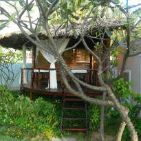 фото из отзыва ID 858470