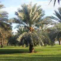 фото из отзыва ID 858495