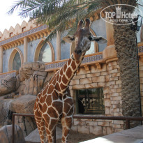 фото из отзыва ID 858495