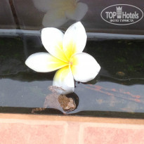 фото из отзыва ID 858586