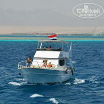 фото из отзыва ID 858755