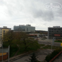 фото из отзыва ID 858784