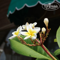 фото из отзыва ID 858916