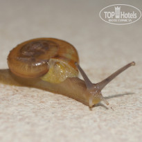 фото из отзыва ID 858916